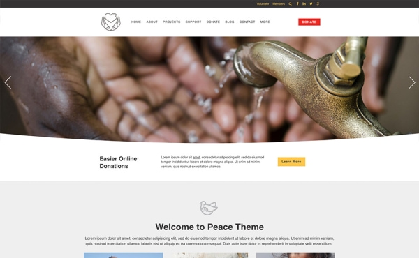 <p>Peace nonprofit website theme.</p>
