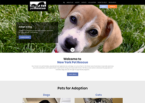 Explore Berkeley Humane’s nonprofit website to see how they used Morweb’s easy web design tools to create a stunning site.