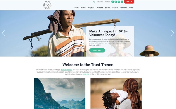 <p>Trust nonprofit website theme.</p>