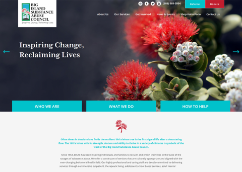 Big Island Substance Abuse Council nonprofit website design by Morweb.org