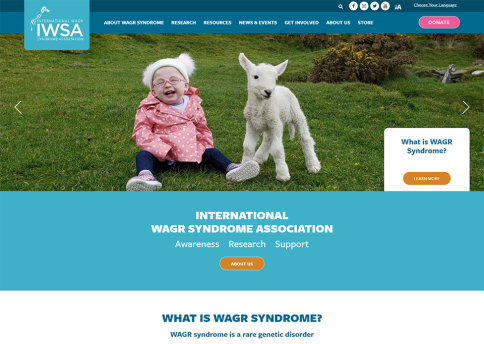 Association of Controls Professionals website design by Morweb