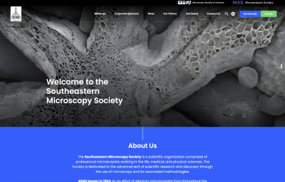 MSA-child-website-3.jpg