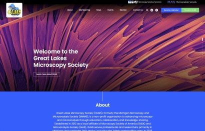MSA-child-website-2.jpg