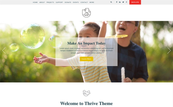 <p>Thrive community nonprofit website theme.</p>