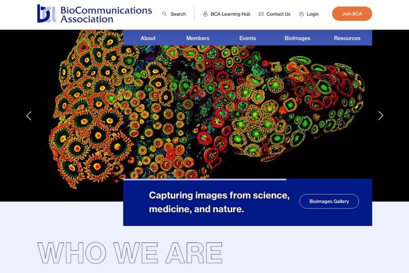 BioCommunications Association Website Desktop Preview