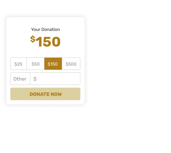 Beautiful, Flexible and Secure Donation Forms