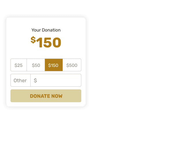 Beautiful, Flexible and Secure Donation Forms