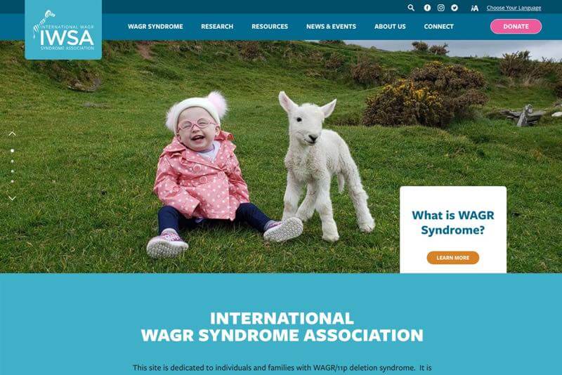 International WAGR Syndrome Association Website Desktop Preview
