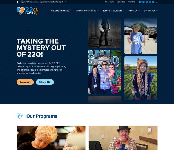 A screetshot of 22q's new site