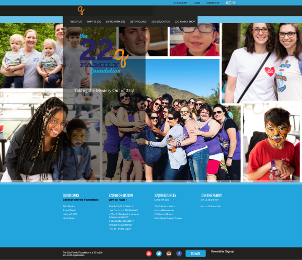 A screetshot of 22q's old site