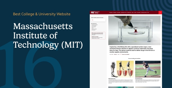 Best College Websites 2025: Design That Works – Morweb