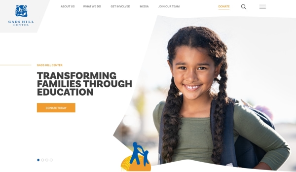 A screetshot of MSA's new site