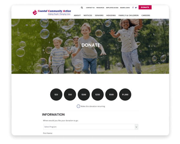 Handbid-How-to-Continue-Fundraising-During-COVID-19-website-donation-page.png