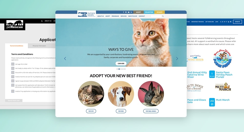 7 Best Practices for Designing a Humane Society Website