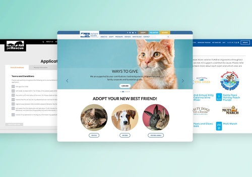 Best humane society website design examples