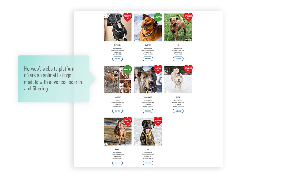 Humane society website pet adoption module