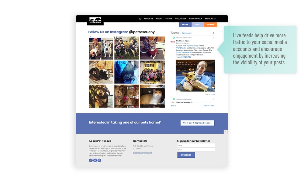 Humane society website social media feed