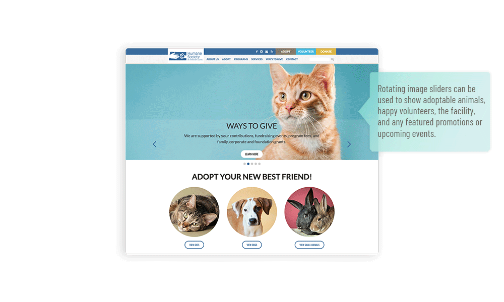 Humane society website design with rotating image banners