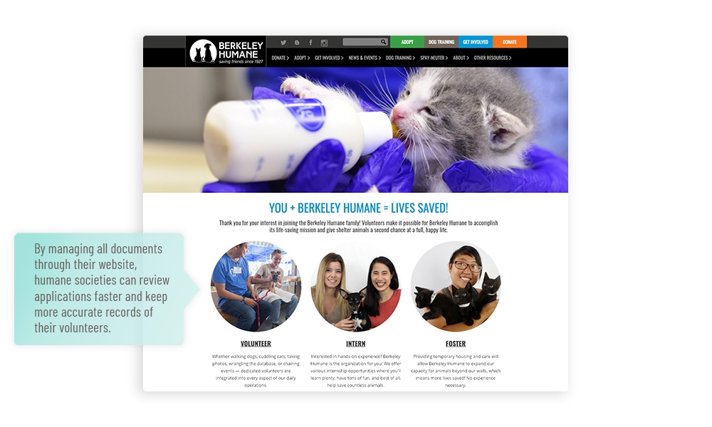 7 Best Practices for Designing a Humane Society Website