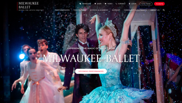 A screetshot of MSA's new site