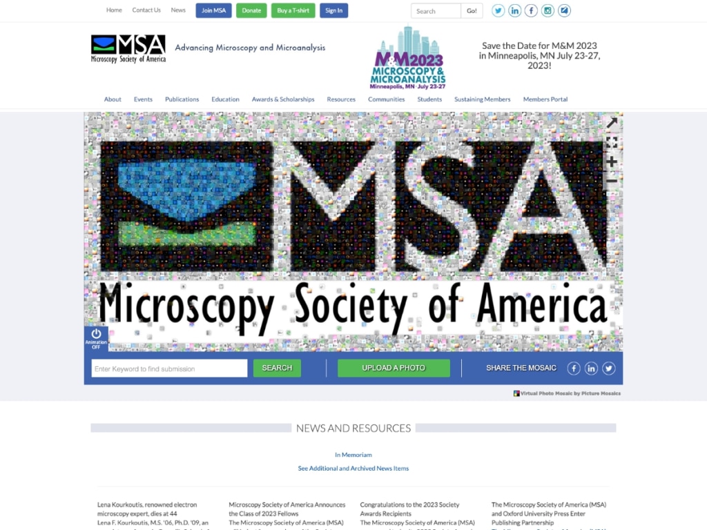 A screetshot of MSA's old site