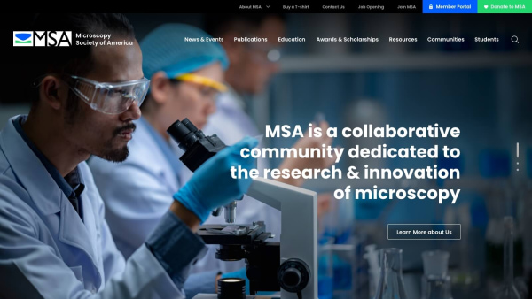 A screetshot of MSA's new site