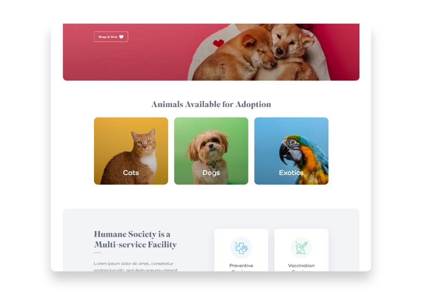 This charity website template can help your organization feature animals up for adoption. 
