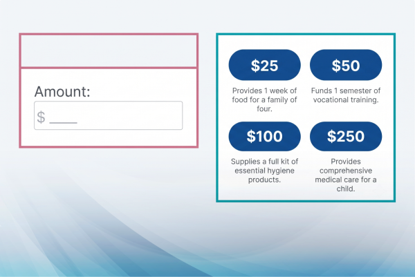Donation page with suggested amounts and impact descriptions versus a blank amount field