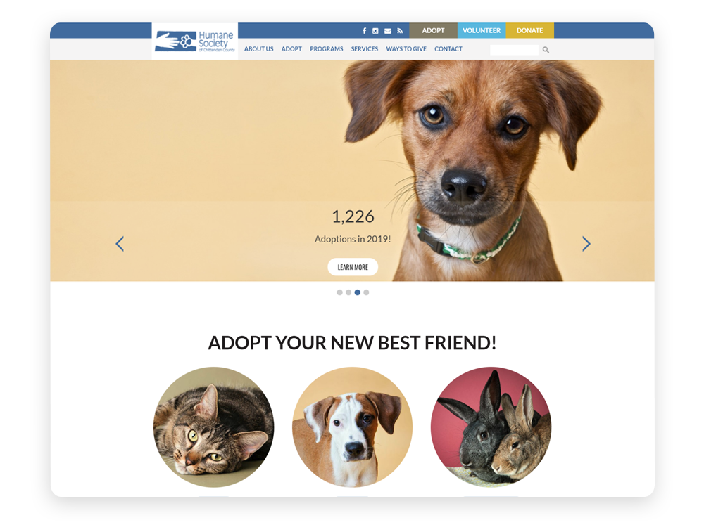 Best Humane Society Website: Chittenden County Humane