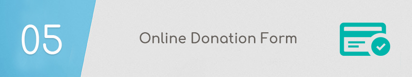 Best humane society best practice: Online Donation Form