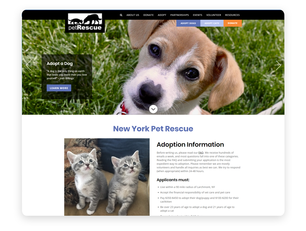 Best dog adoption store websites