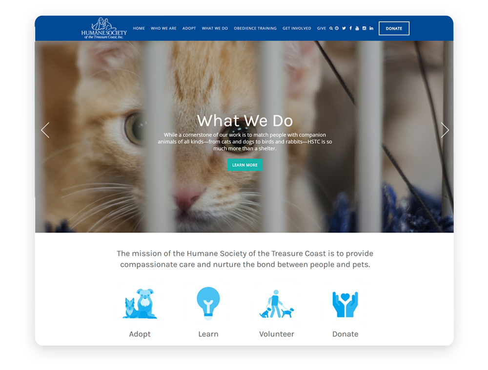 Best humane society website: Humane Society of the Treasure Coast