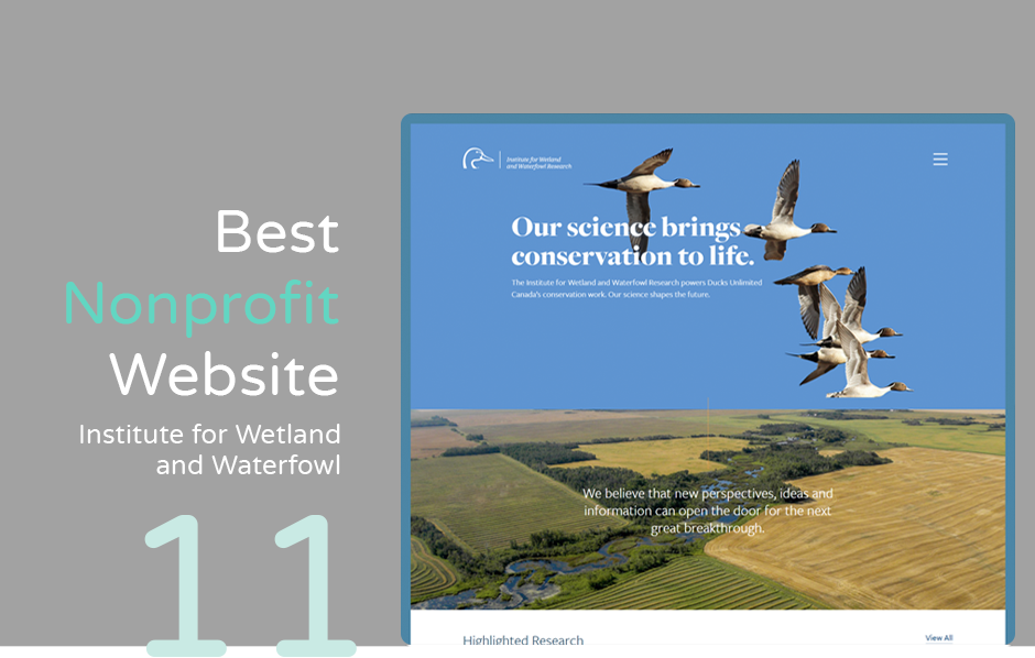 Best nonprofit website example: Institute for Wetland and Waterfowl Research