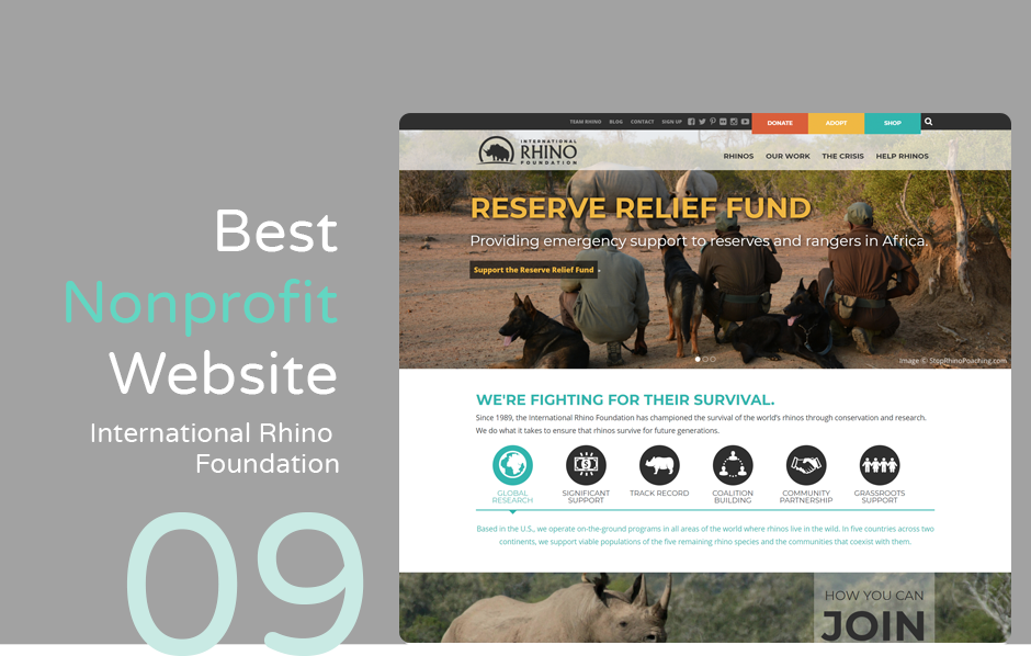 Best nonprofit website example: International Rhino Foundation