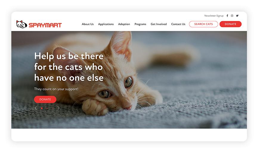 This is a screenshot of the SpayMart site, one of the best nonprofit websites.