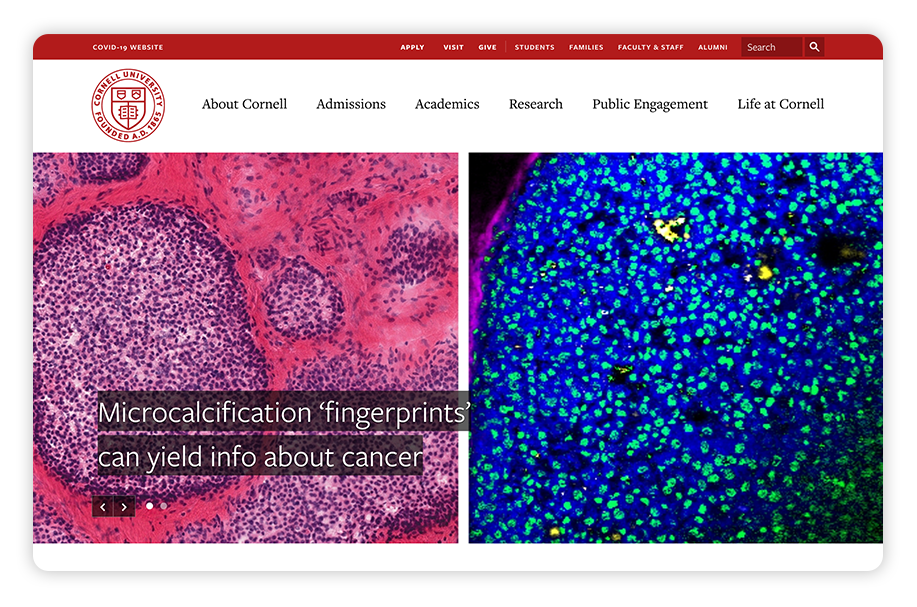 Cornell's college website design is captivating and helps this school stand out from other elite institutions.