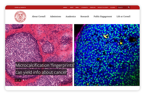 Cornell's college website design is captivating and helps this school stand out from other elite institutions.