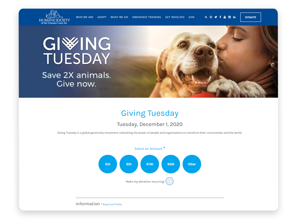 Giving Tuesday donation page example