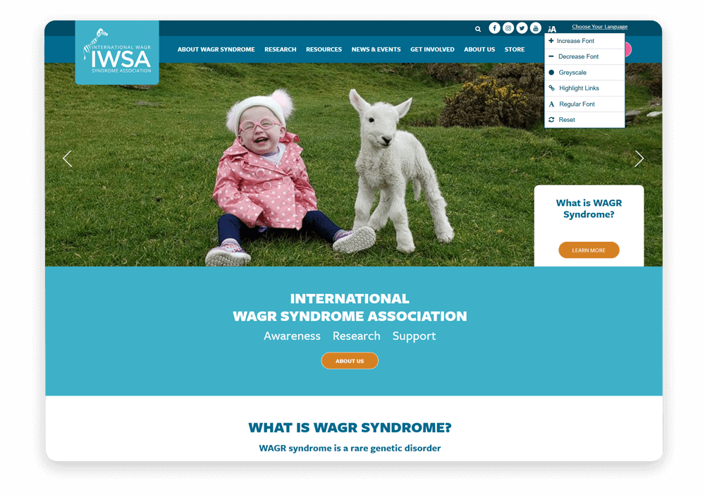 When sharing your Giving Tuesday campaign, ensure it's accessible users who have visual and hearing impairments, just like the International WAGR Syndrome Association (IWSA) did.