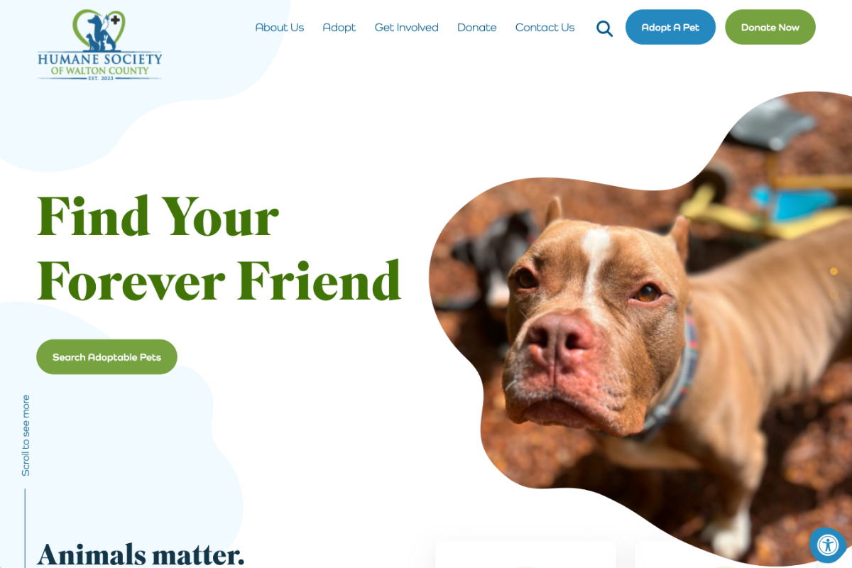 Humane Society of Walton County Website Desktop Preview