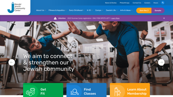 A screetshot of MSA's new site