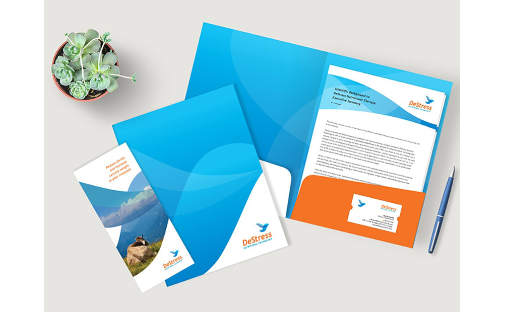 Nonprofit branding redesign stationery