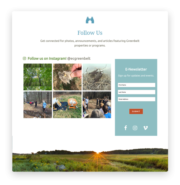 Instagram feed and newsletter sign-up on a nonprofit website
