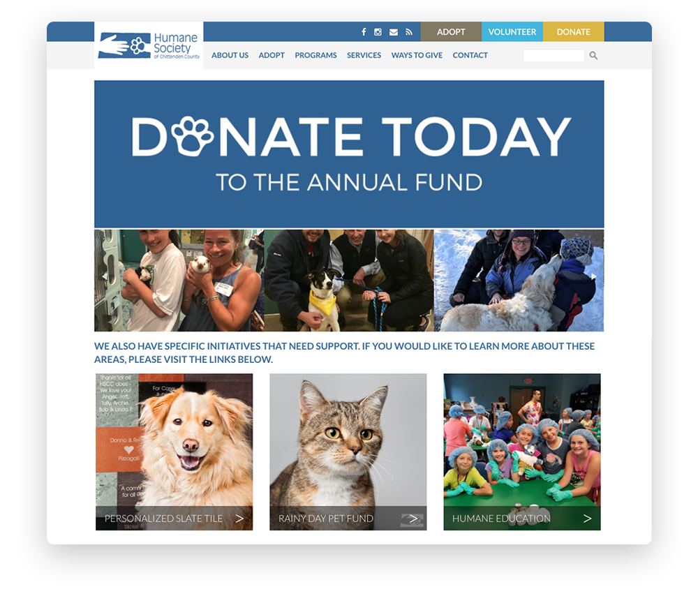 Nonprofit website donation page design