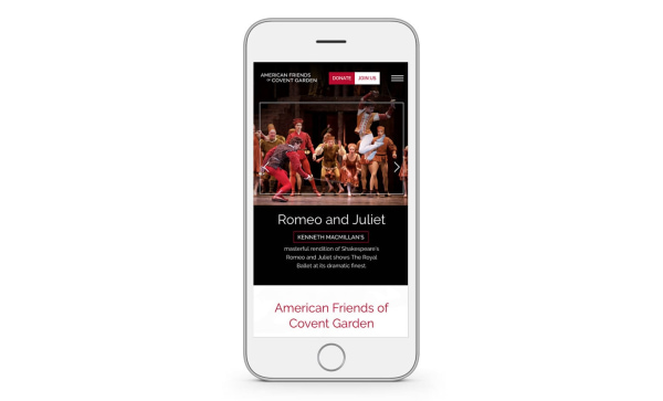 Mobile-friendly nonprofit website design example