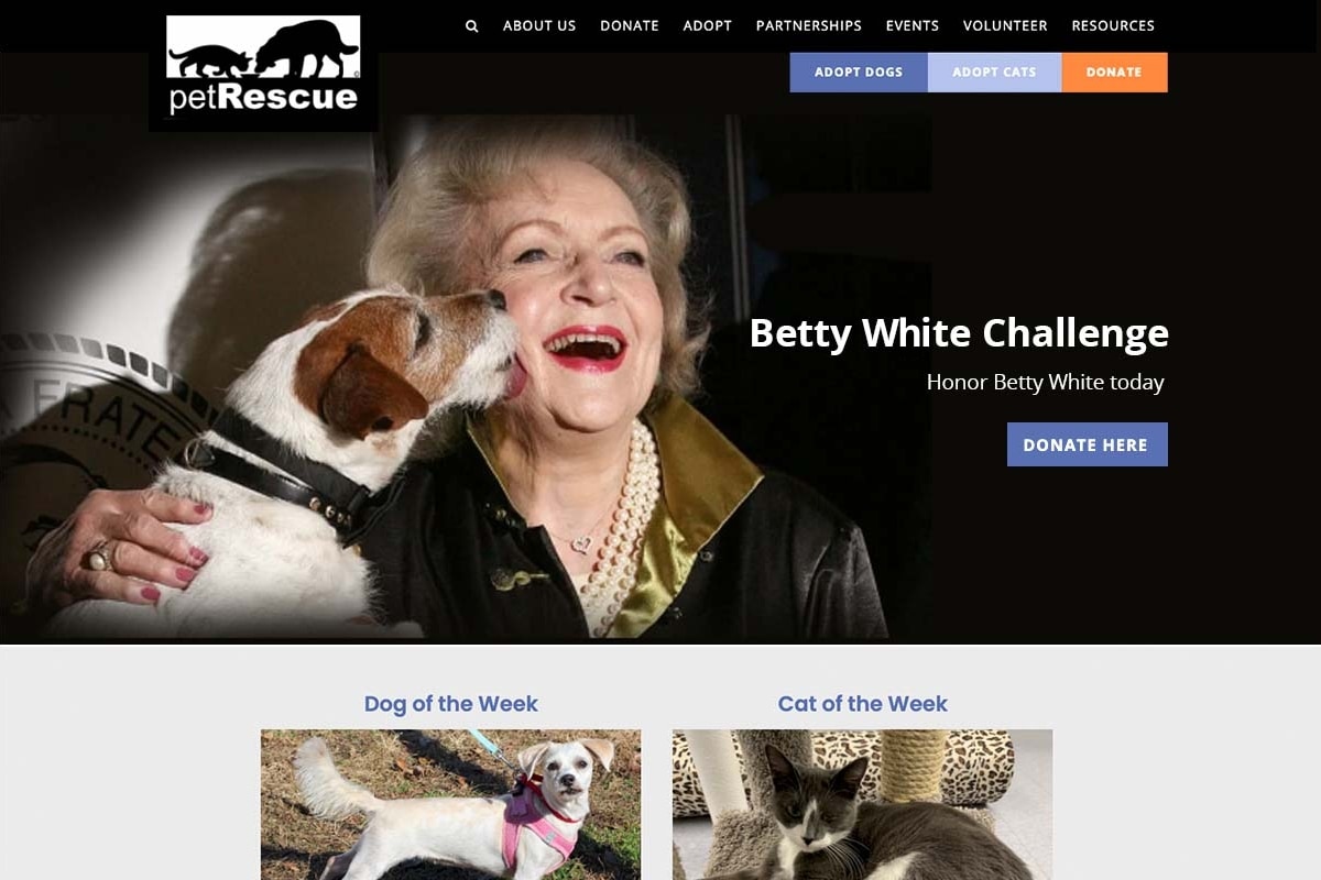 New York Pet Rescue Website Desktop Preview