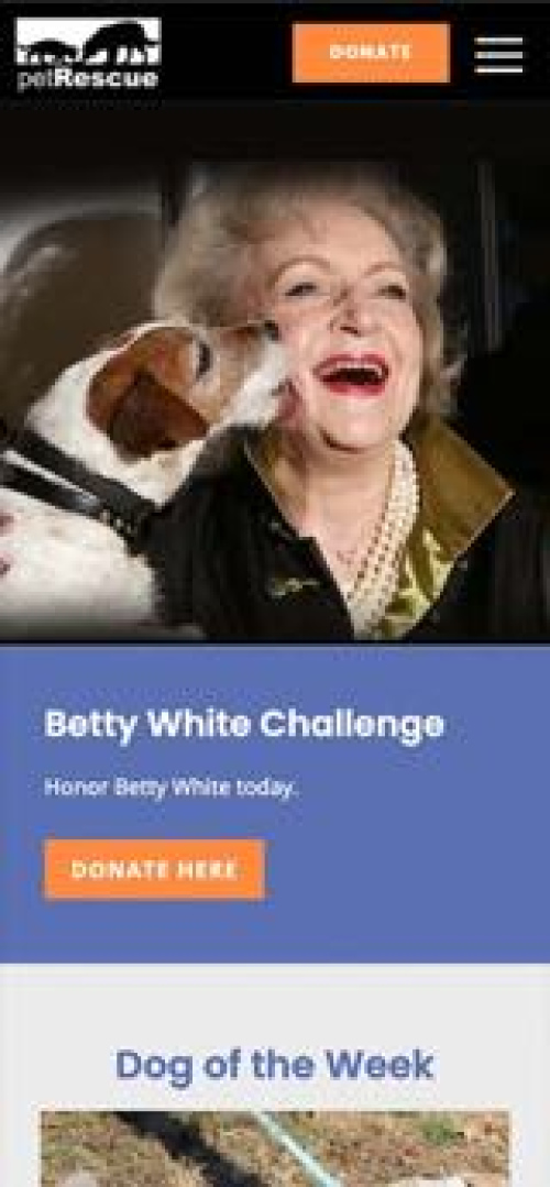 New York Pet Rescue Website Mobile Preview