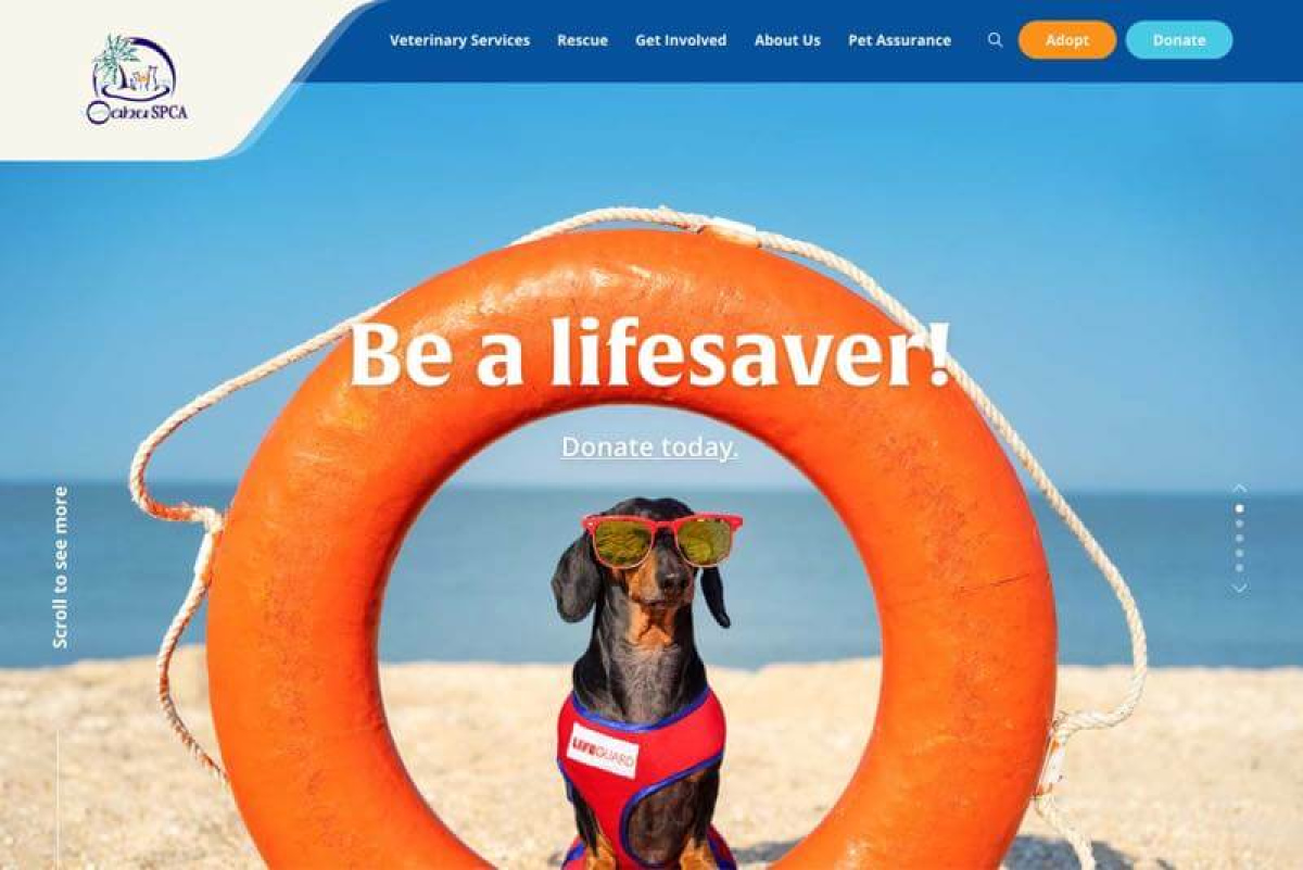 Oahu SPCA Website Desktop Preview
