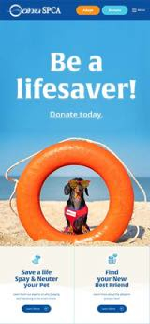 Oahu SPCA Website Mobile Preview