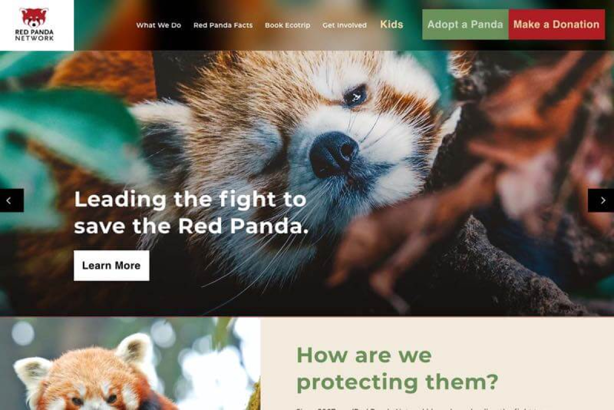 Red Panda Network Website Desktop Preview